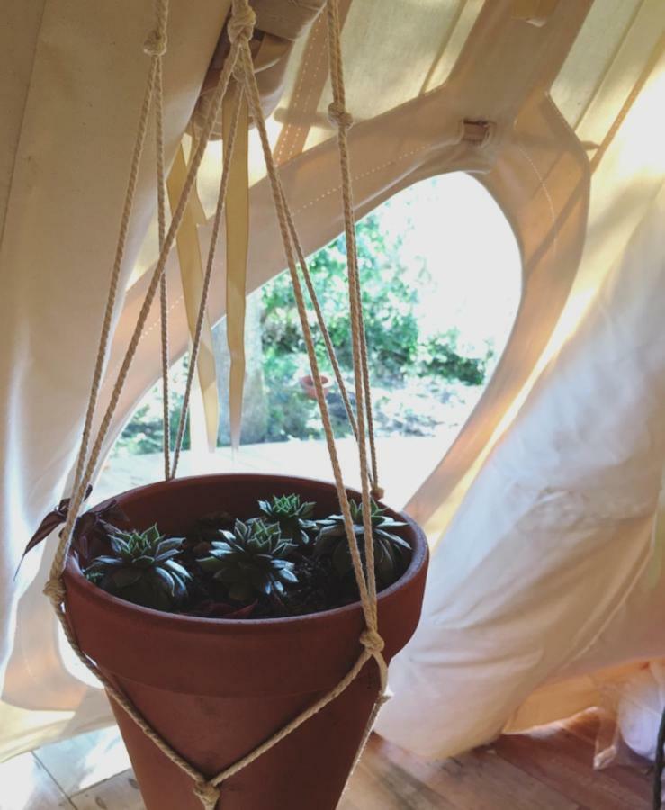 Tipi Lodge Dans La Foret Mimizan Esterno foto